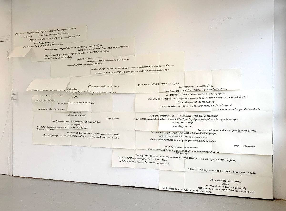atelier rendre public - Élisa Dubosc - ÉSAD de Reims