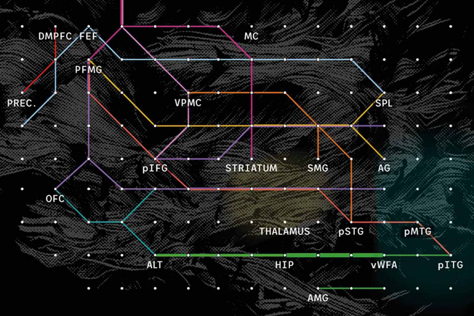 Am-Courbot,-représentation-multi-modale-de-la-matière-blanche-du-cerveau,-Brain-Roads-2024